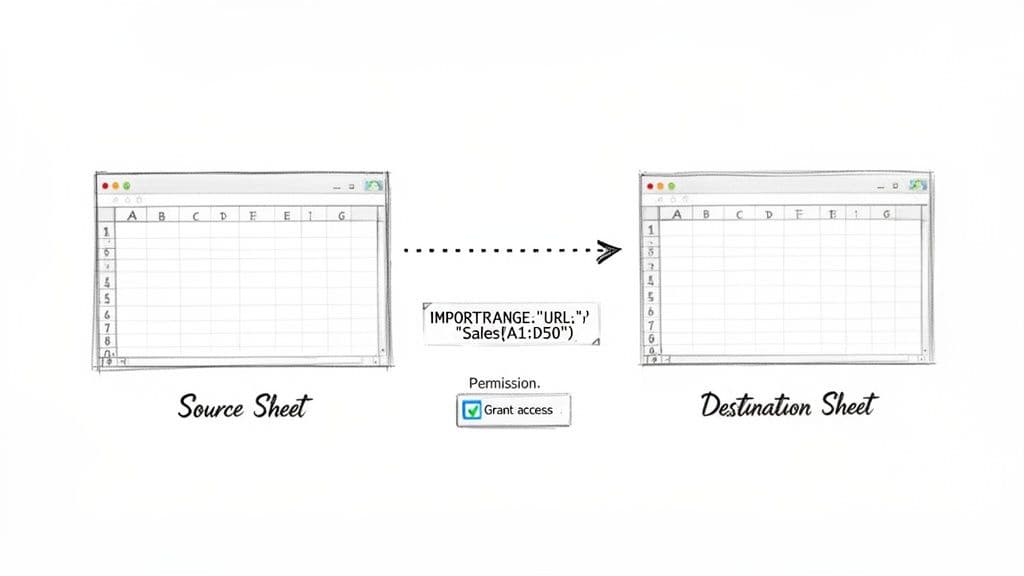 Illustration showing Google Sheets IMPORTRANGE function linking data from a source sheet to a destination sheet, with a grant access prompt.